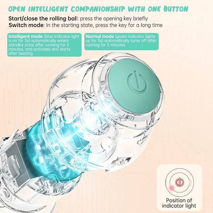 Bola Para Gatos Automática